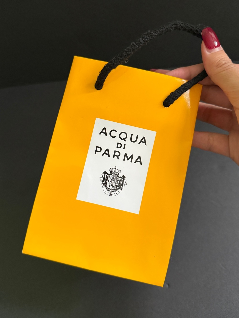 Acqua Di Parma Vibrant Yellow Gift Bag with Black Handles